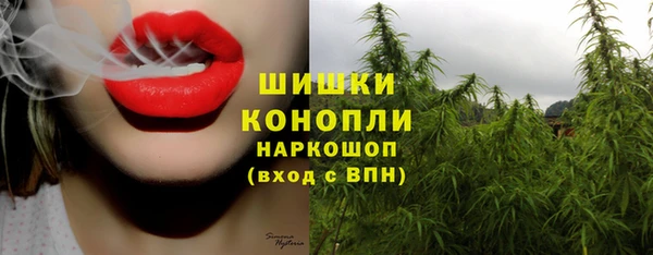 мет Няндома