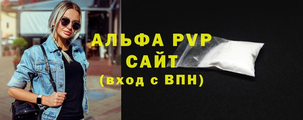 индика Абаза