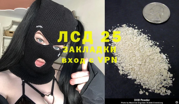 индика Абаза
