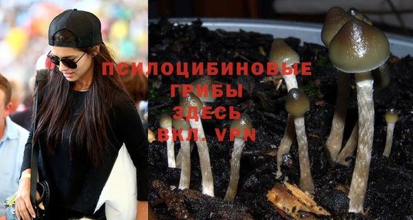 индика Абаза