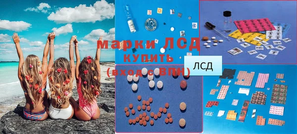 индика Абаза