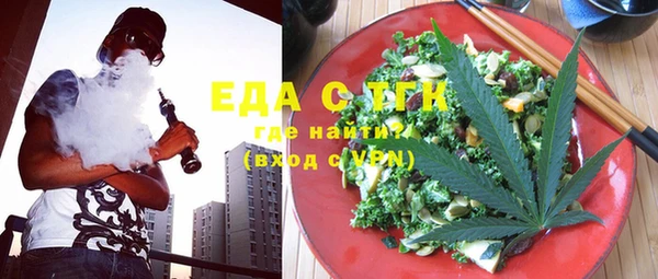 индика Абаза
