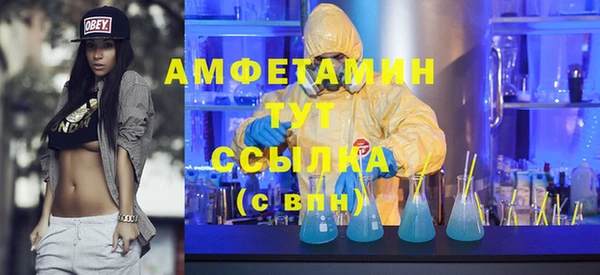 индика Абаза