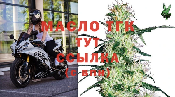 индика Абаза