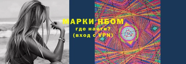 индика Абаза